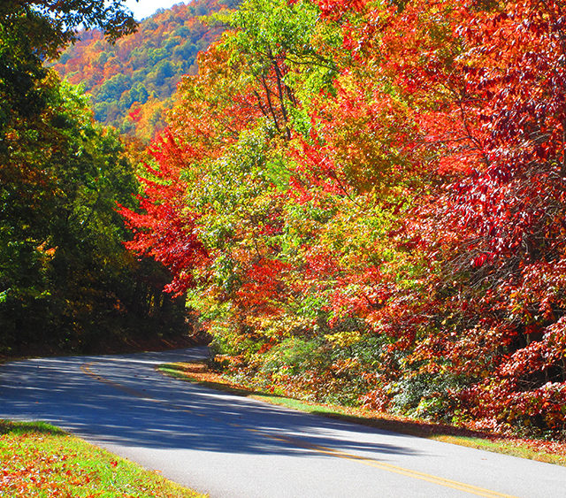 National Safety Council: 433 People May be Killed on U.S. Roads this Thanksgiving Holiday